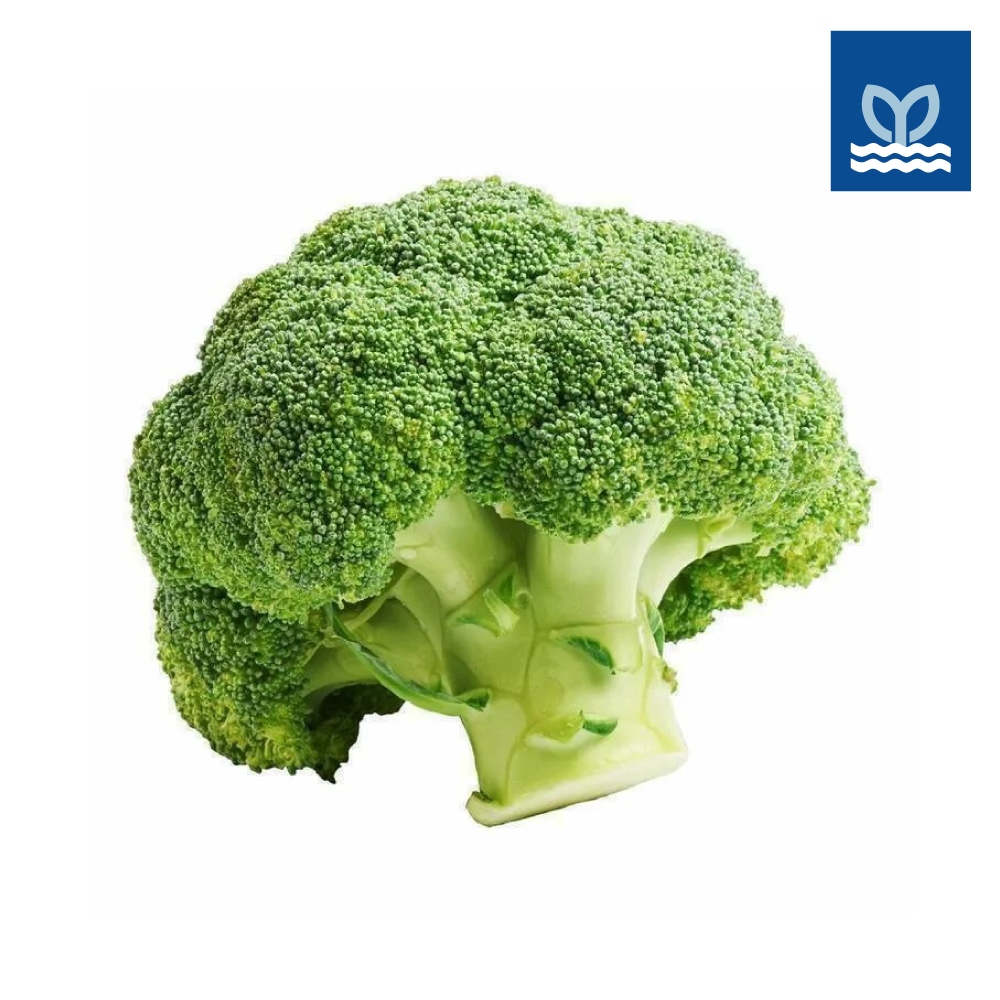 Prime Fresh - Broccoli 芥兰花 300G – 400G | Shopee Singapore