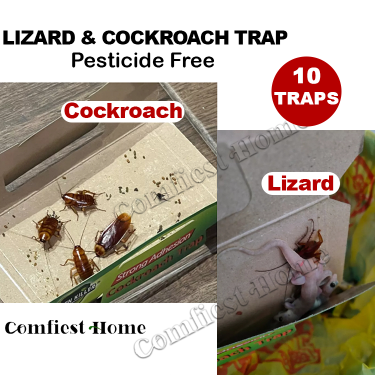 [sg Ready Stock]10 Traps (1box) Cockroach Trap Lizard Trap Sticker Glue 