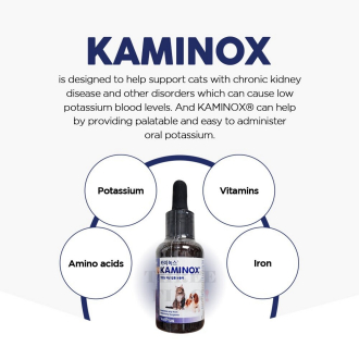 Kaminox liquid best sale