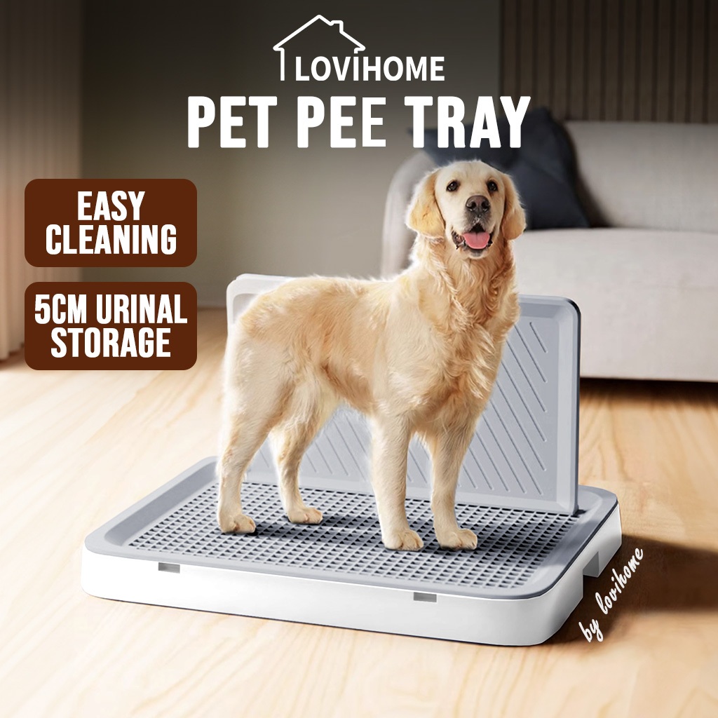 Puppy pee tray best sale