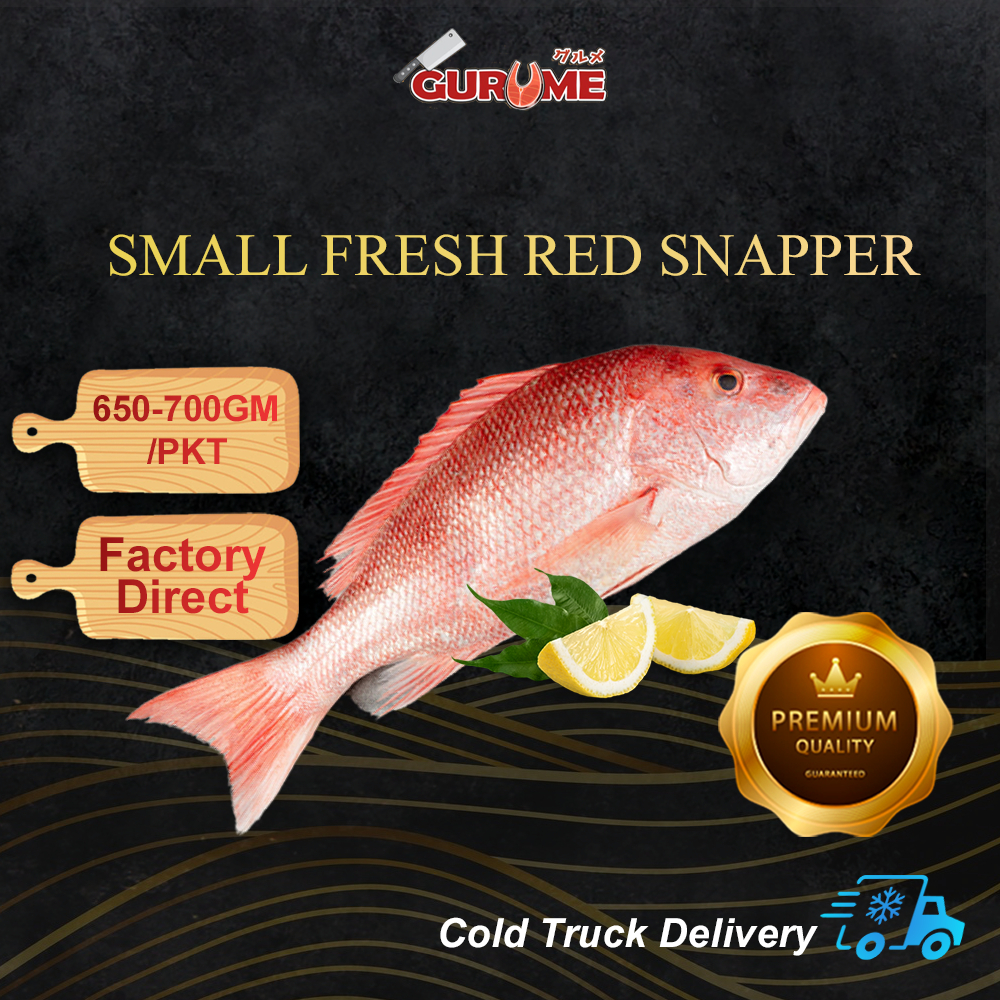 [GURUMESG] Small Fresh Red Snapper (650-700gm+-/pcs) | 小红鲷鱼 | Shopee ...