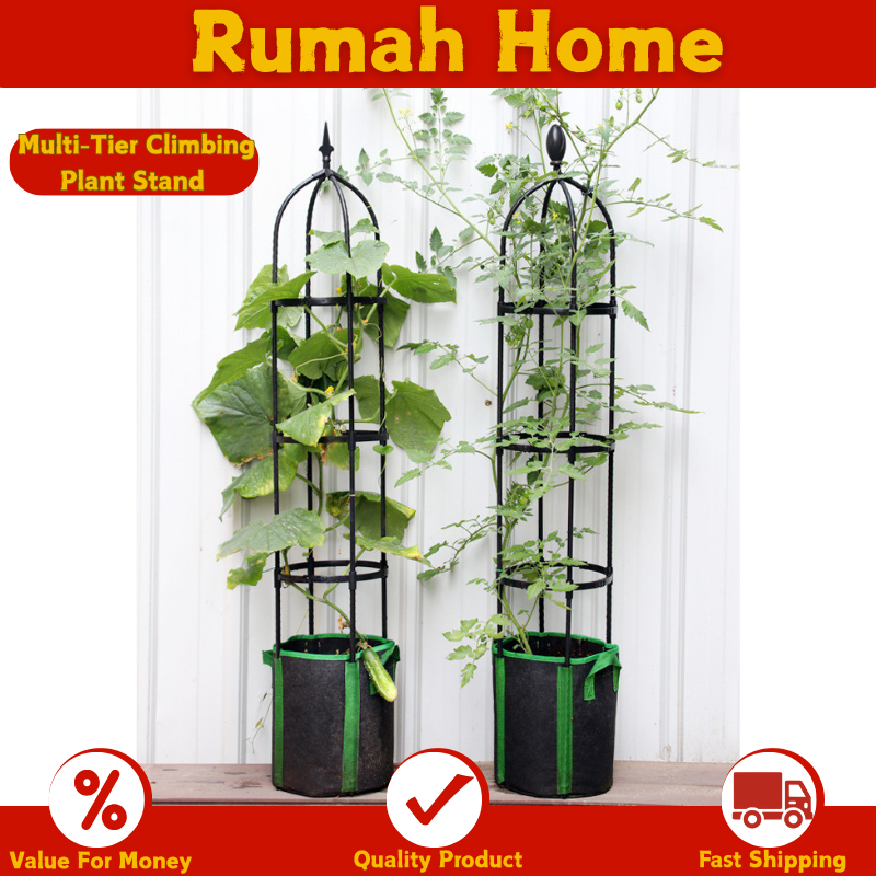 【SG STOCK】Multi-Tier Climbing Plant Stand-Vertical Garden Rack for ...