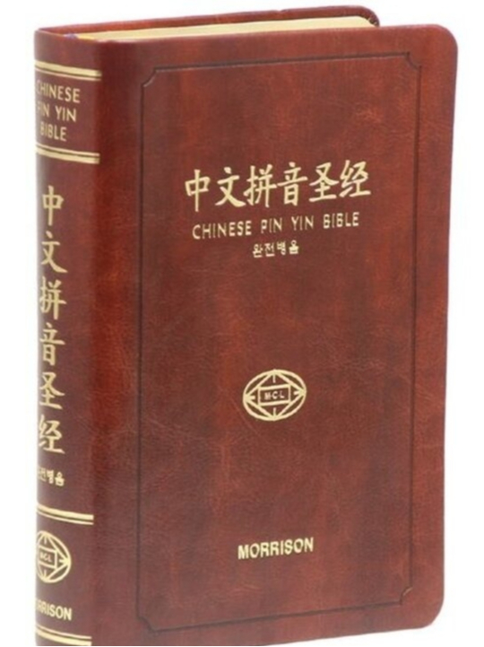 中文拼音圣经》Chinese Pin Yin Bible | Shopee Singapore 中文拼音圣经》Chinese Pin Yin Bible | Shopee Singapore