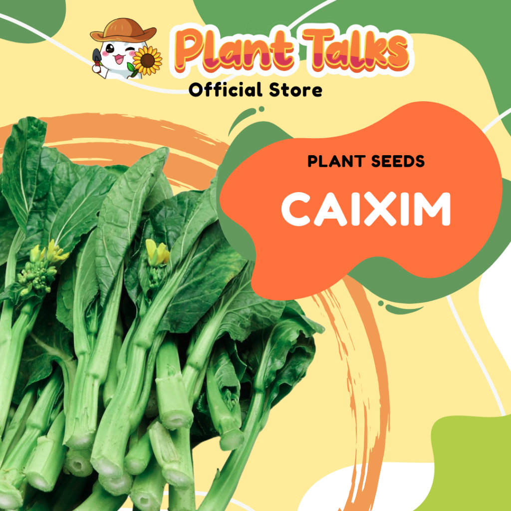 Plant Talks Cai Xim Seed Choy Sum Cai Xin Seeds Organic Edible ...