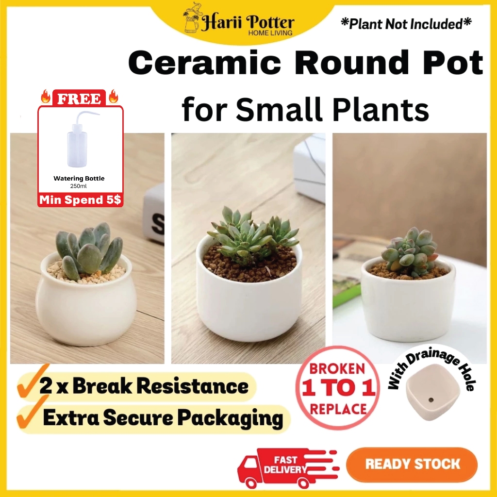Round Ceramic Pot White Pot Succulent Small Flower Pot Pasu Putih Pasu ...