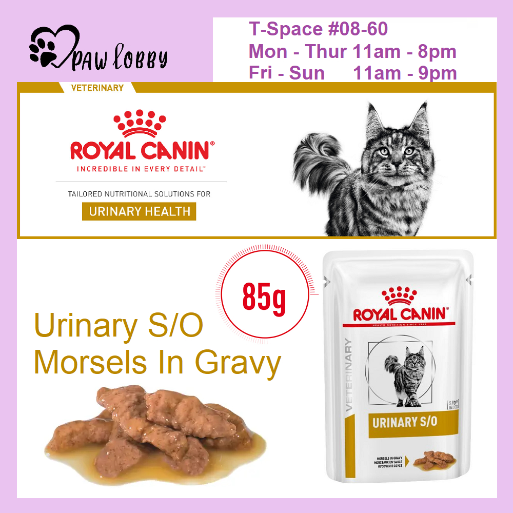Royal Canin Feline Urinary S/O Adult Cat Wet Food UTI Complete Feed 85g ...