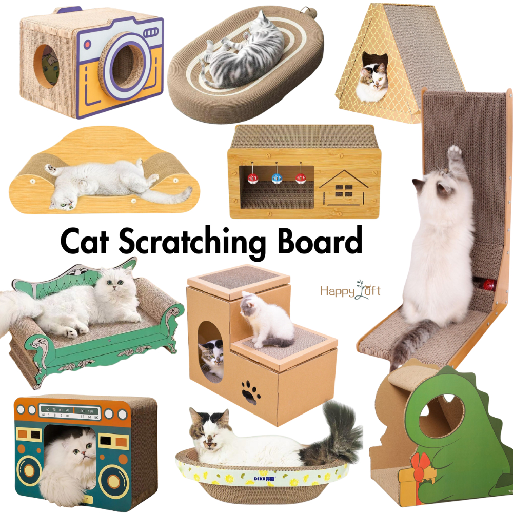 Kitten scratcher sale