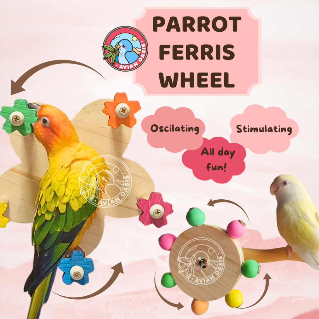 Picture of [SG] Avian Oasis Parrot Rotating Ferris Wheel for birds Cockatiels ...