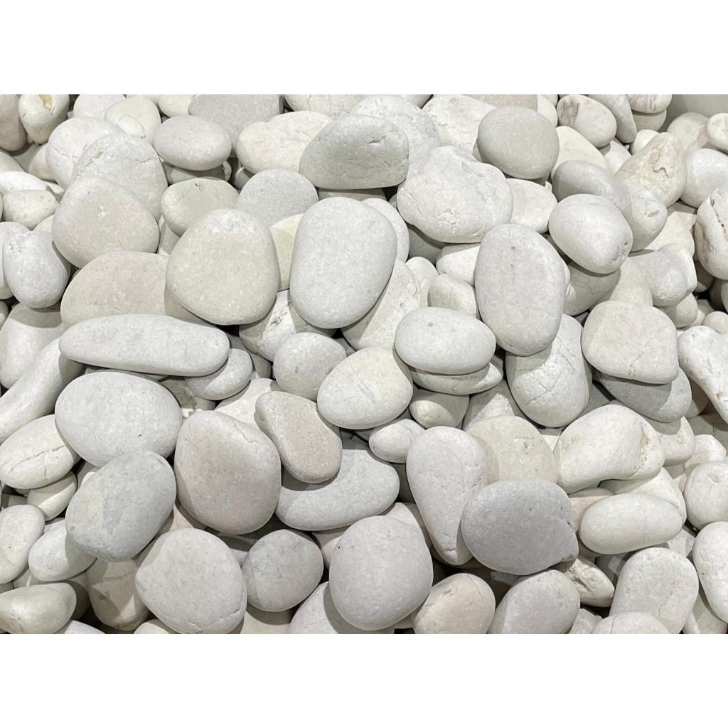 Ivory White Pebble Pebbles 4.5kg of 20mm 50mm Shopee Singapore