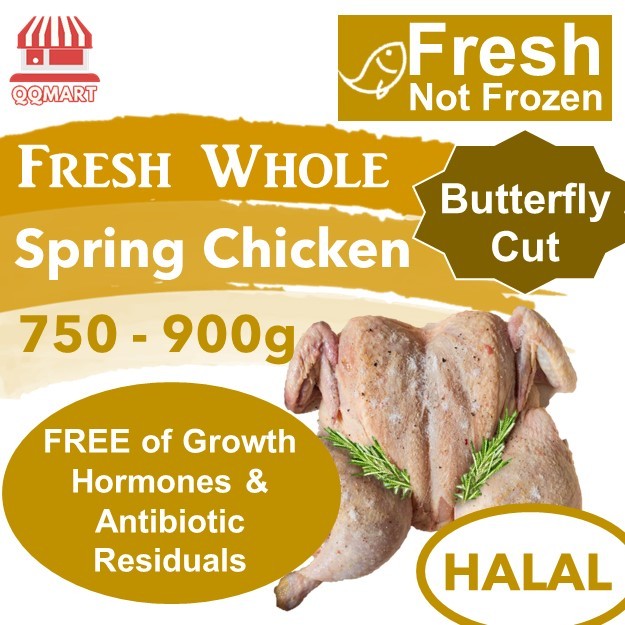 QQMart Fresh Chicken - Spring Chicken - Direct from local Singapore ...