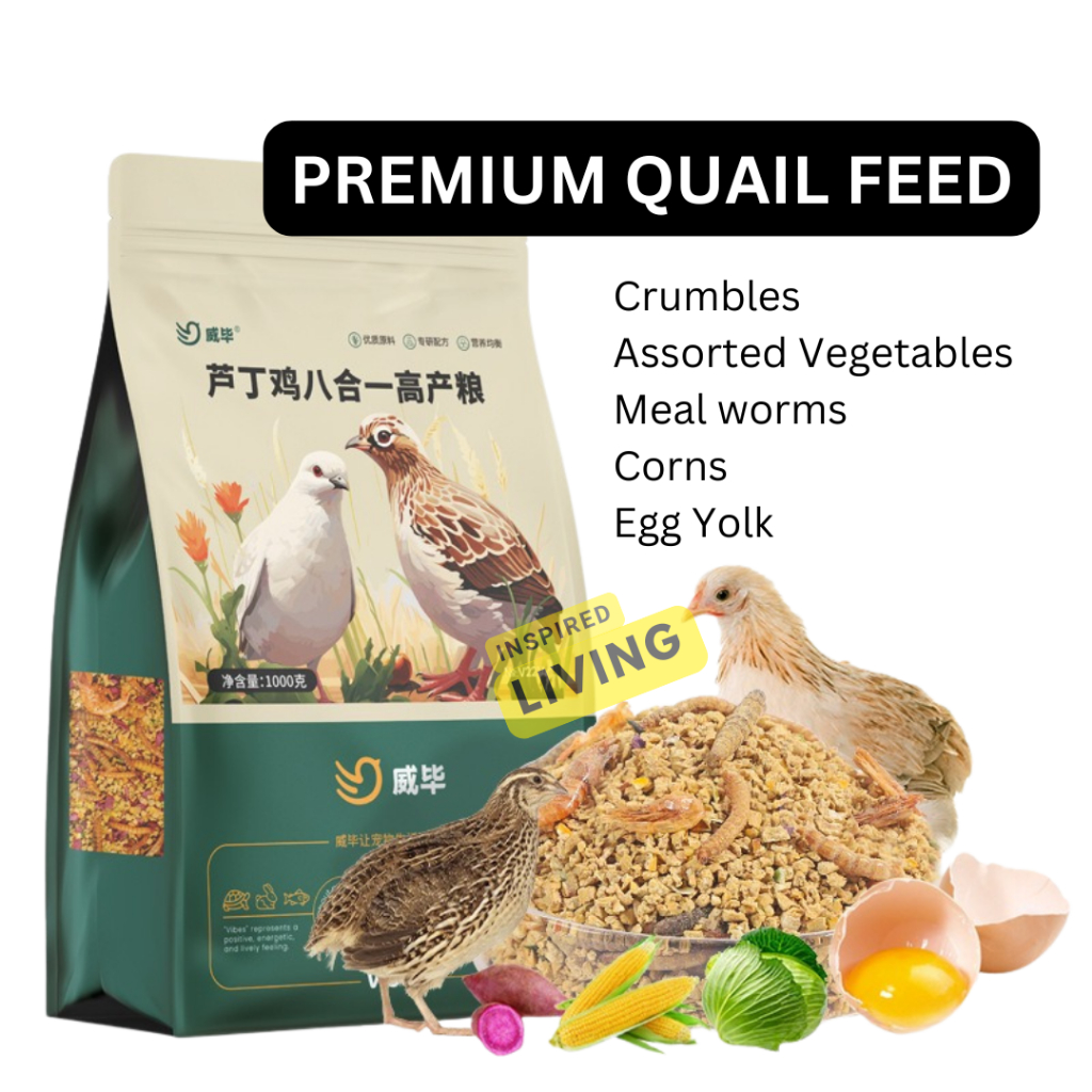 Nutrient Rich Feeds For Frozen Thawed Quail Chicks