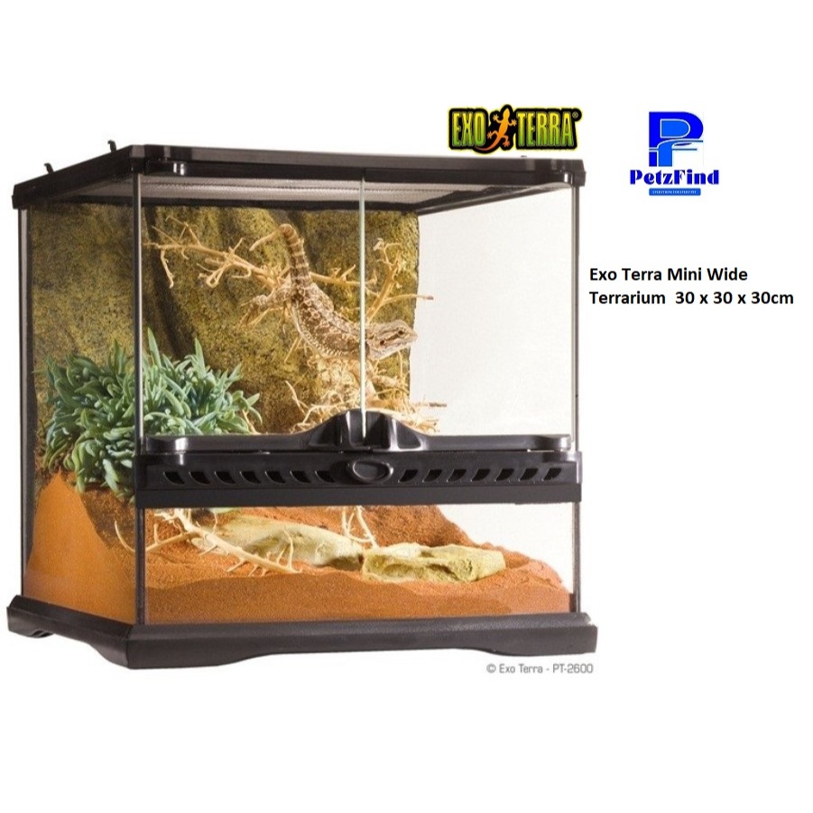 PT2600- Exo Terra Mini Wide Terrarium 30 x 30 x 30cm | Shopee Singapore