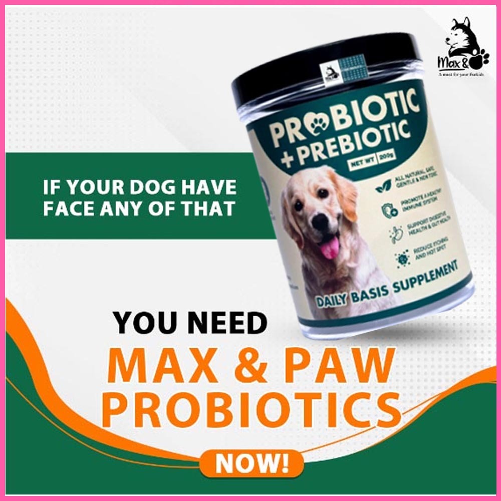 Max & Paw Pet Supplement Dog Supplement Probiotic - All Natural ...