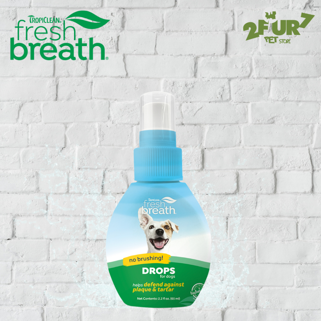 Dental drops for dogs sale
