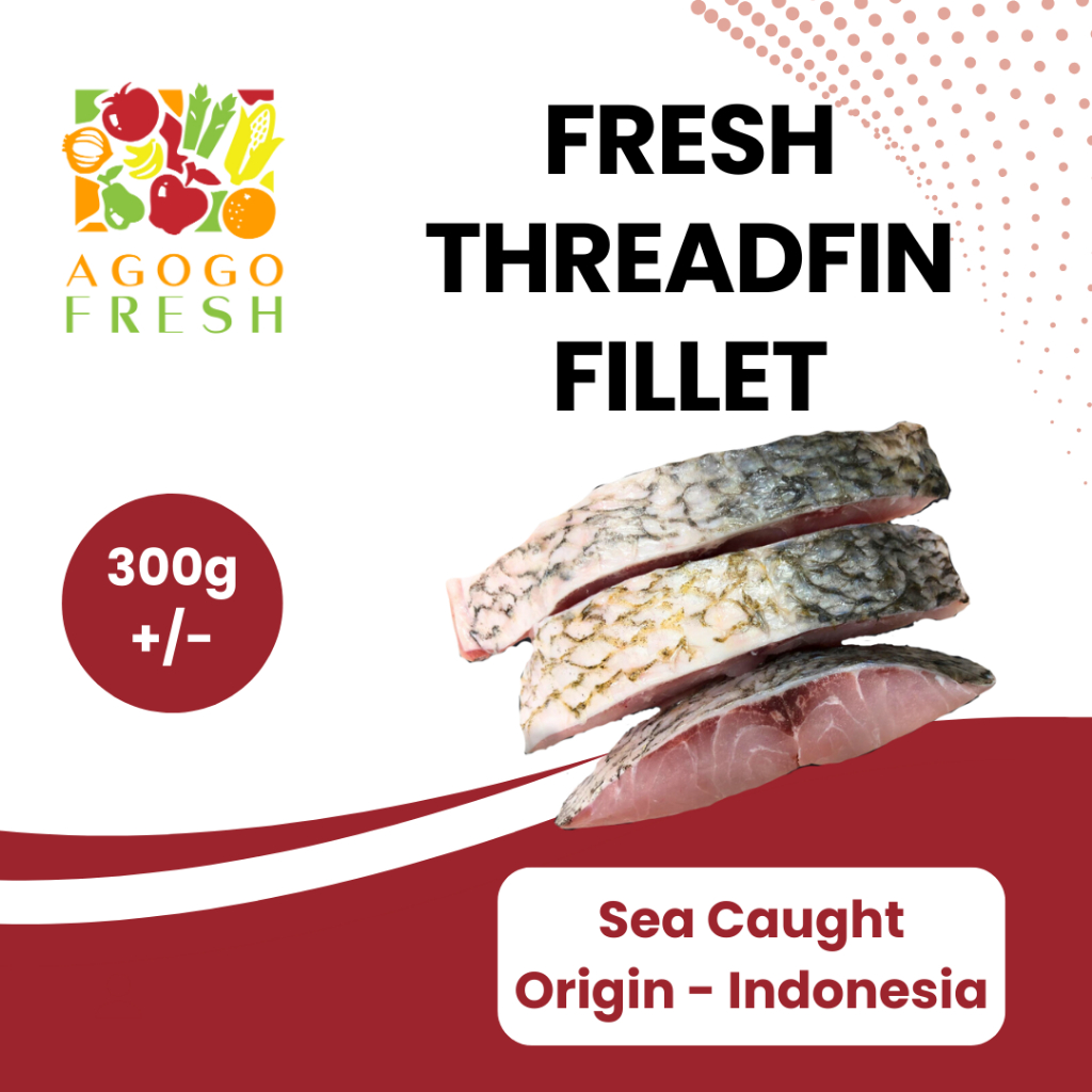 [Agogo Fresh - Fish & Seafood] Fresh Threadfin Fillet (300g) | Shopee ...