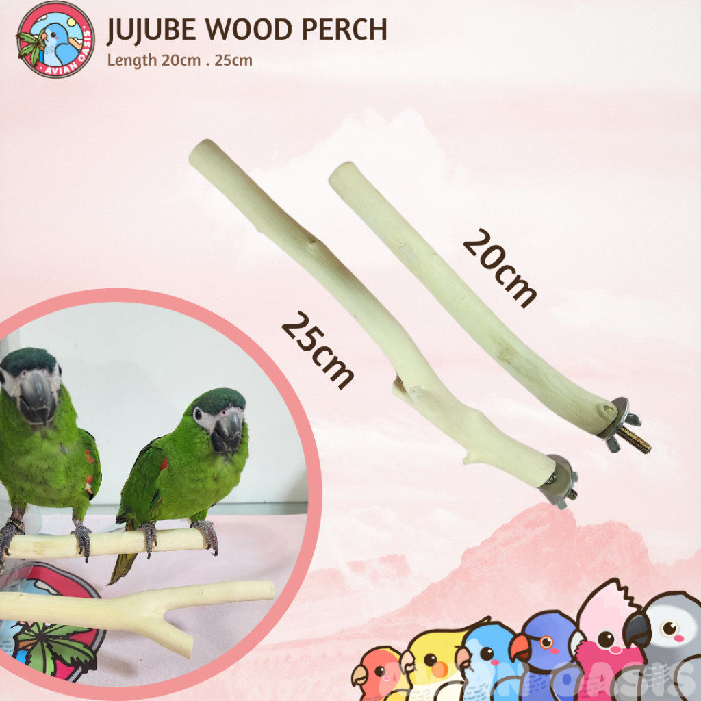 thumbnail image 2 of Bird Perch Toy Kyouki - 360° Spinning Stand For Small & Medium 2 of 11