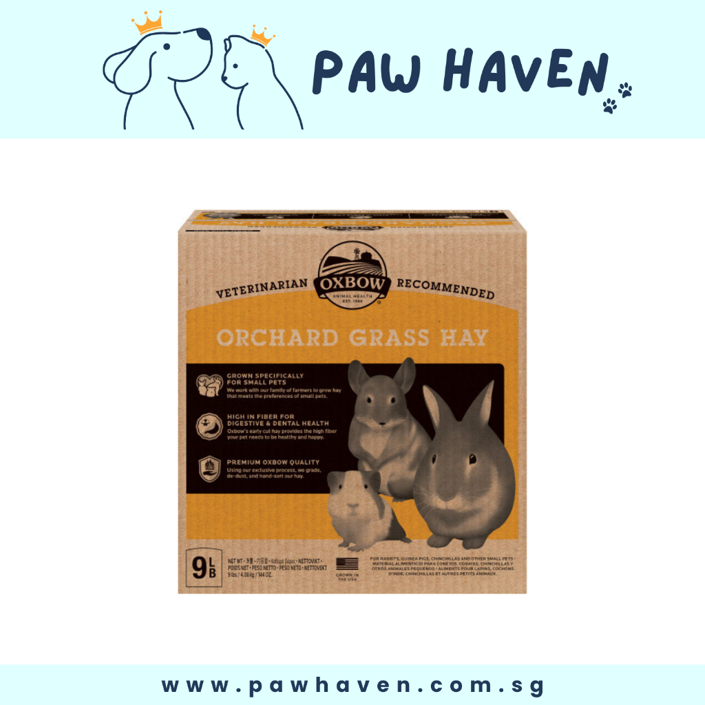 Pet Hay Is Oaten Hay Good For Guinea Pigs Buy Australian Oaten Hay