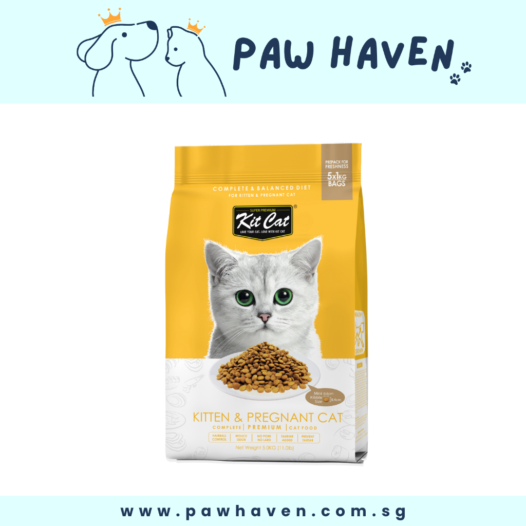 2 FOR 95 Kit Cat 5kg Cat Dry Food Shopee Singapore