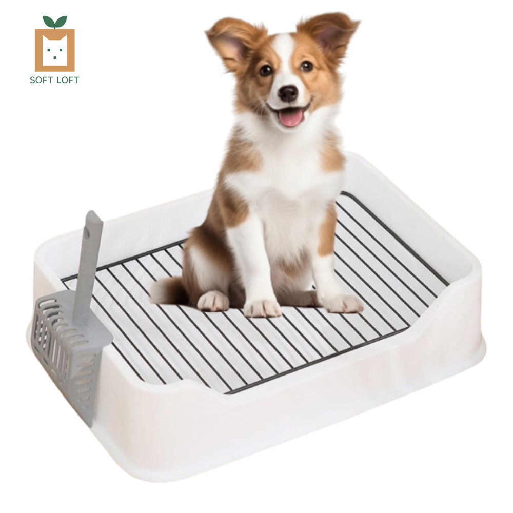 Puppy toilet training tray best sale