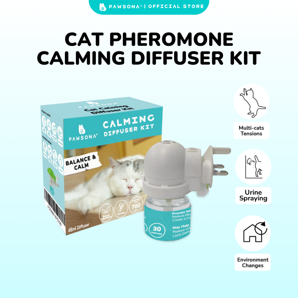The 10 Best Calming Aids for Cats of 2026 - The Spruce Pets