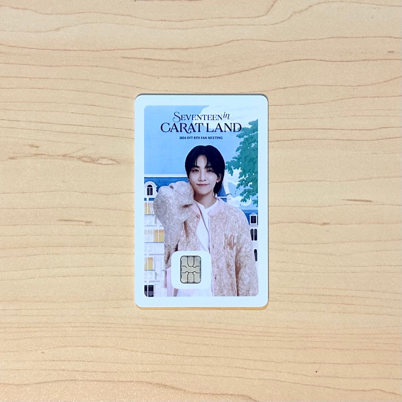 Limited Instock) SEVENTEEN NAMANE Card - Carat Land 2024 | Shopee