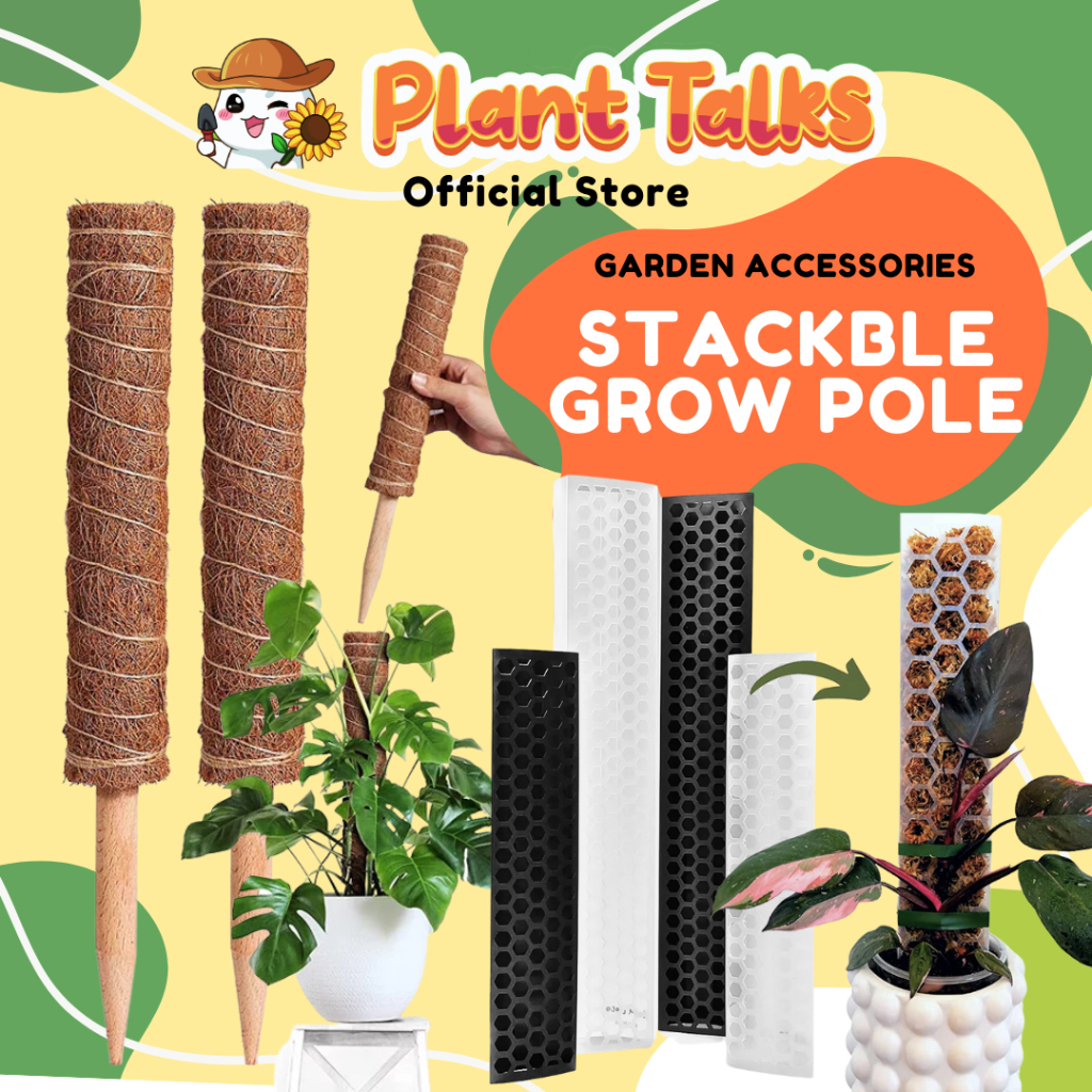 Buy moss pole Products At Sale Prices Online - November 2025