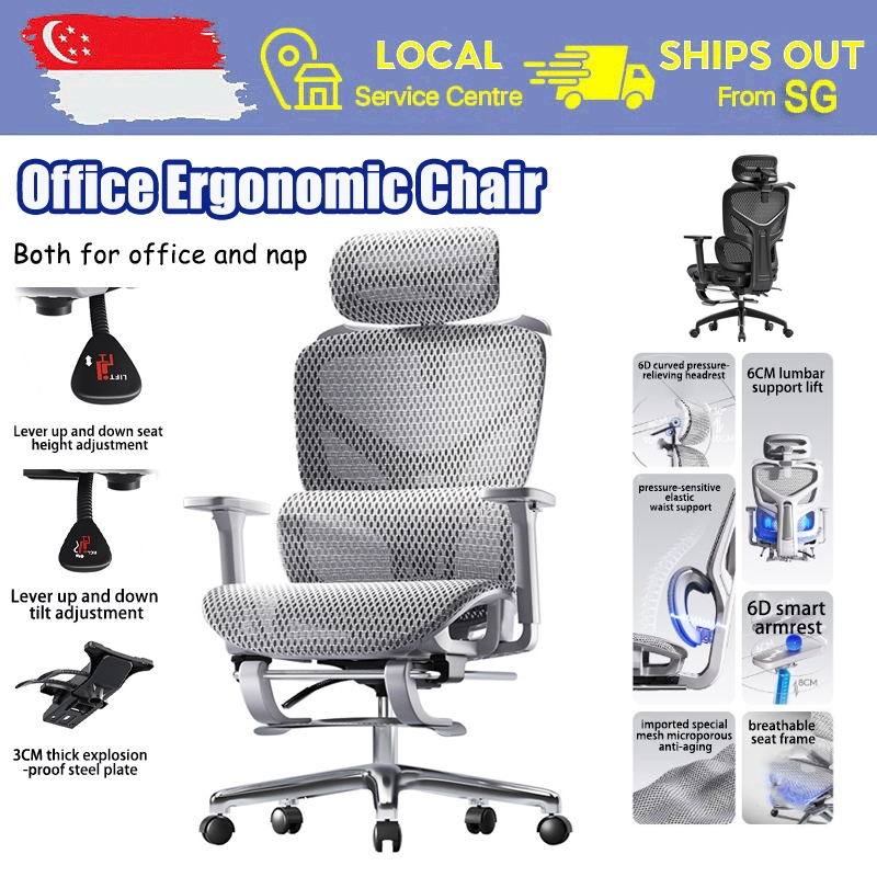 [SG Ready Stock] Ergonomic Office Gaming Chair with Adjustable Lumbar ...