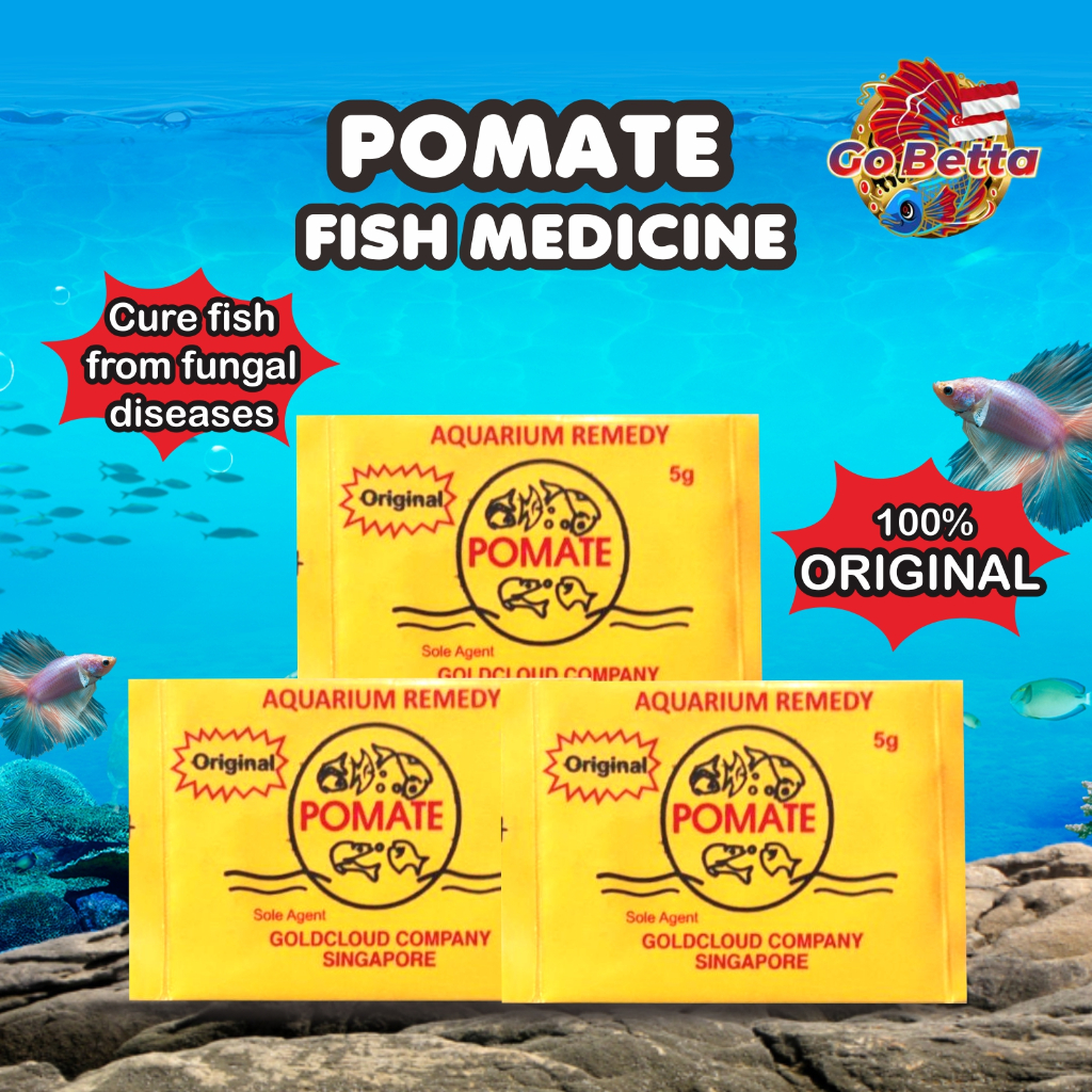 [SG Seller] Pomate Fish Medicine 100% Original Singapore Obat Ikan Hias ...