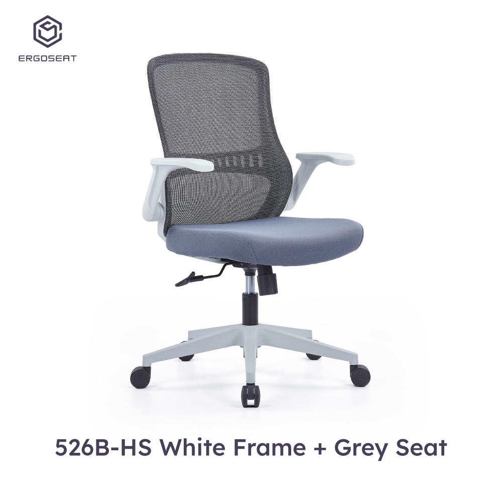 Ergoseat Ergonomic Study Chair 526B Flip Free Installation Delivery Shopee Singapore