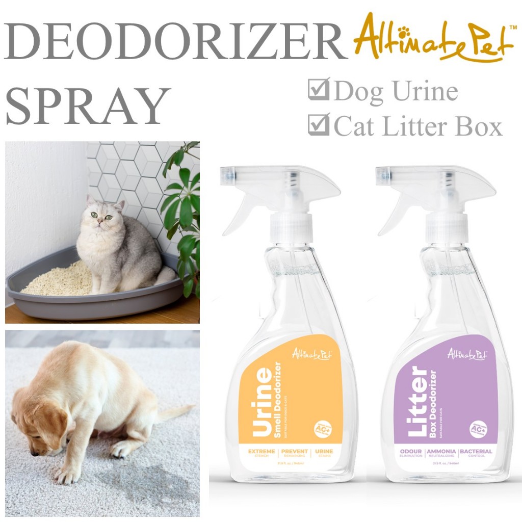 Bodhi Dog Strong Cat Urine Odor Litter Box Strong Cat Urine Smell