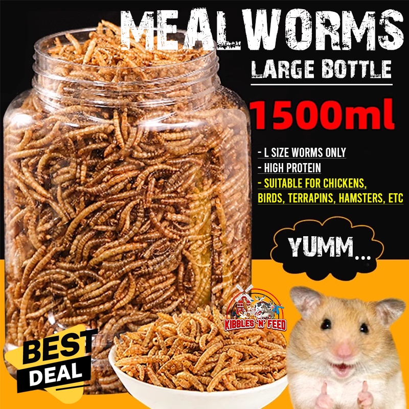 LOCAL SELLER CHEAPEST 1500ml 260g CHEAPEST DRIED MEALWORM BREADWORM FOR CHICKEN QUAIL HAMSTER TERRAPIN GUINEA PIG Shopee Singapore