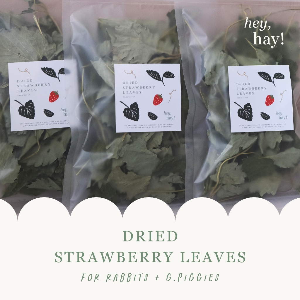 Dried Strawberry Leaves for Rabbits & Guinea Pigs (Rabbit Treats ...