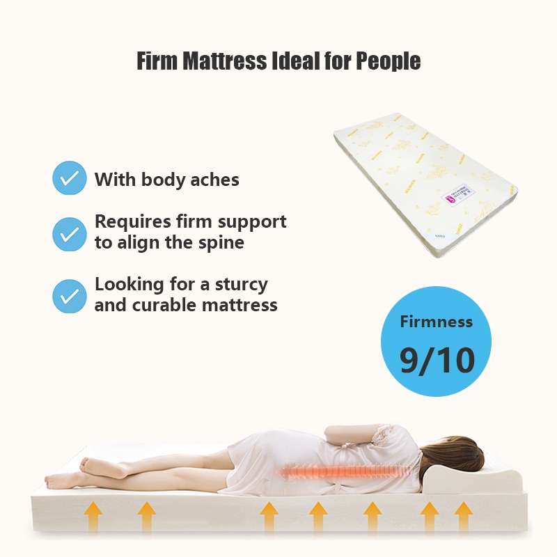 Seahorse Hard Foam Mattress size photo