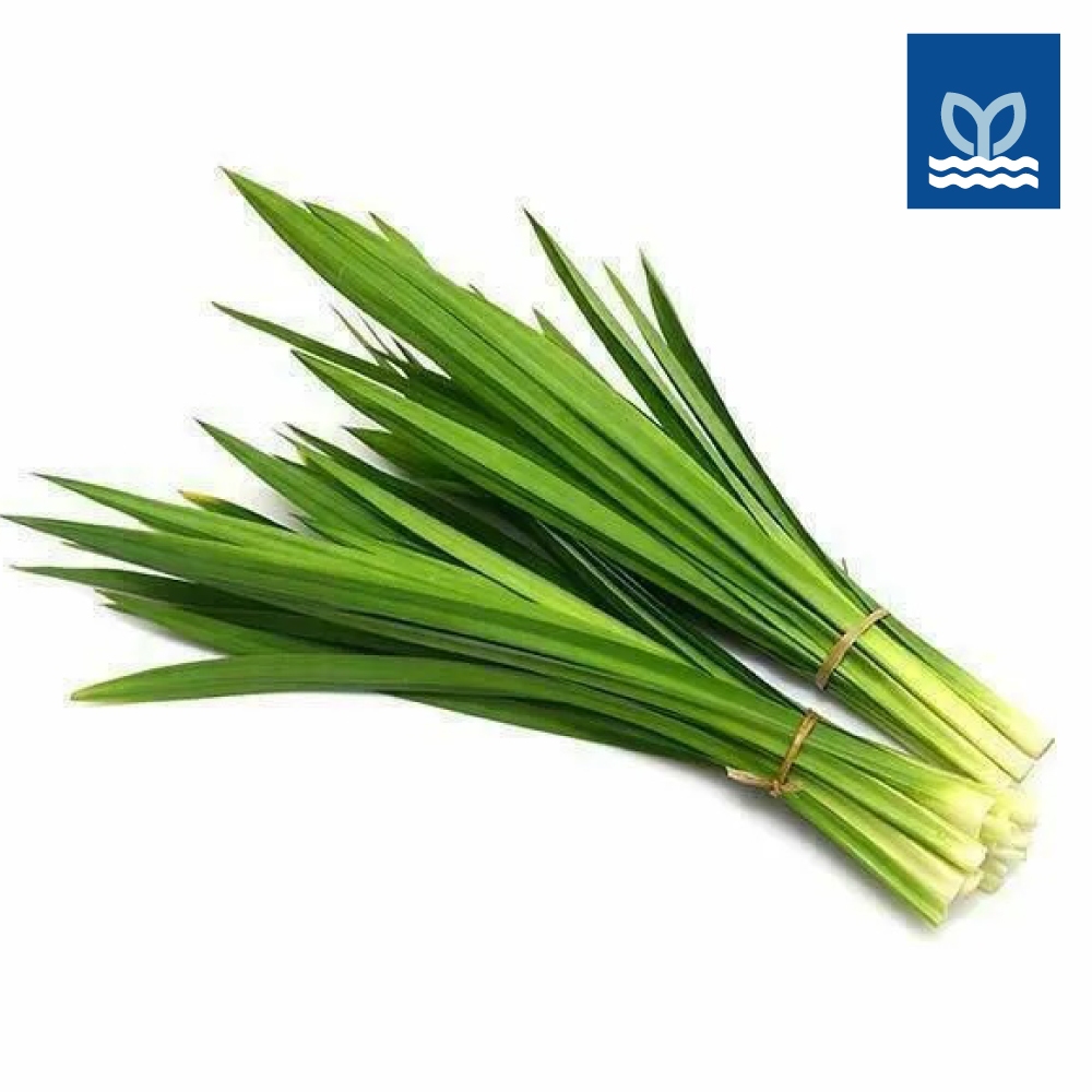 Prime Fresh - Pandan Leaf 香兰叶 200G | Shopee Singapore
