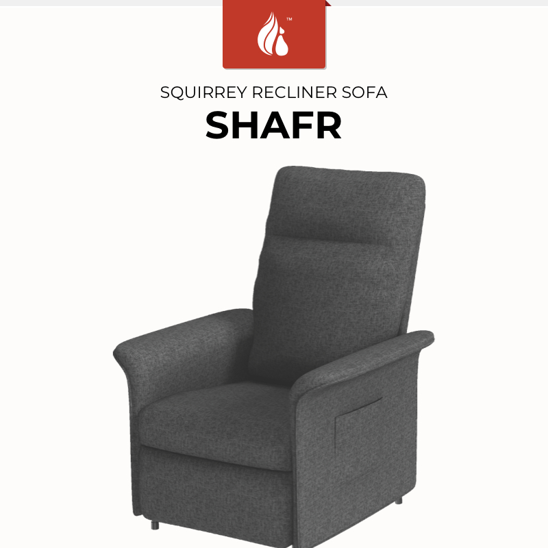Squirrey Shafr Recliner Sofa [ Multi-Angle Movement, Remote Control ...
