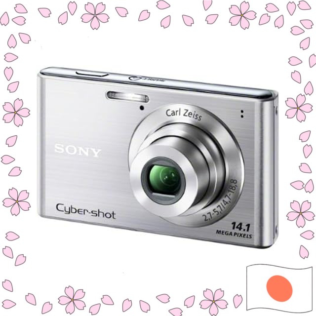 SONY Digital Camera Cyber-Shot W550 (14.1MP CCD/4x Optical) Silver