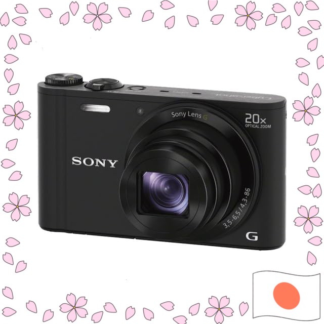 SONY Digital Camera Cyber-shot WX300 21.1MP Optical 20x Black DSC