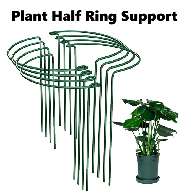Plant Support Stakes Metal Plant Supports Ring Cage for Garden Sturdy ...