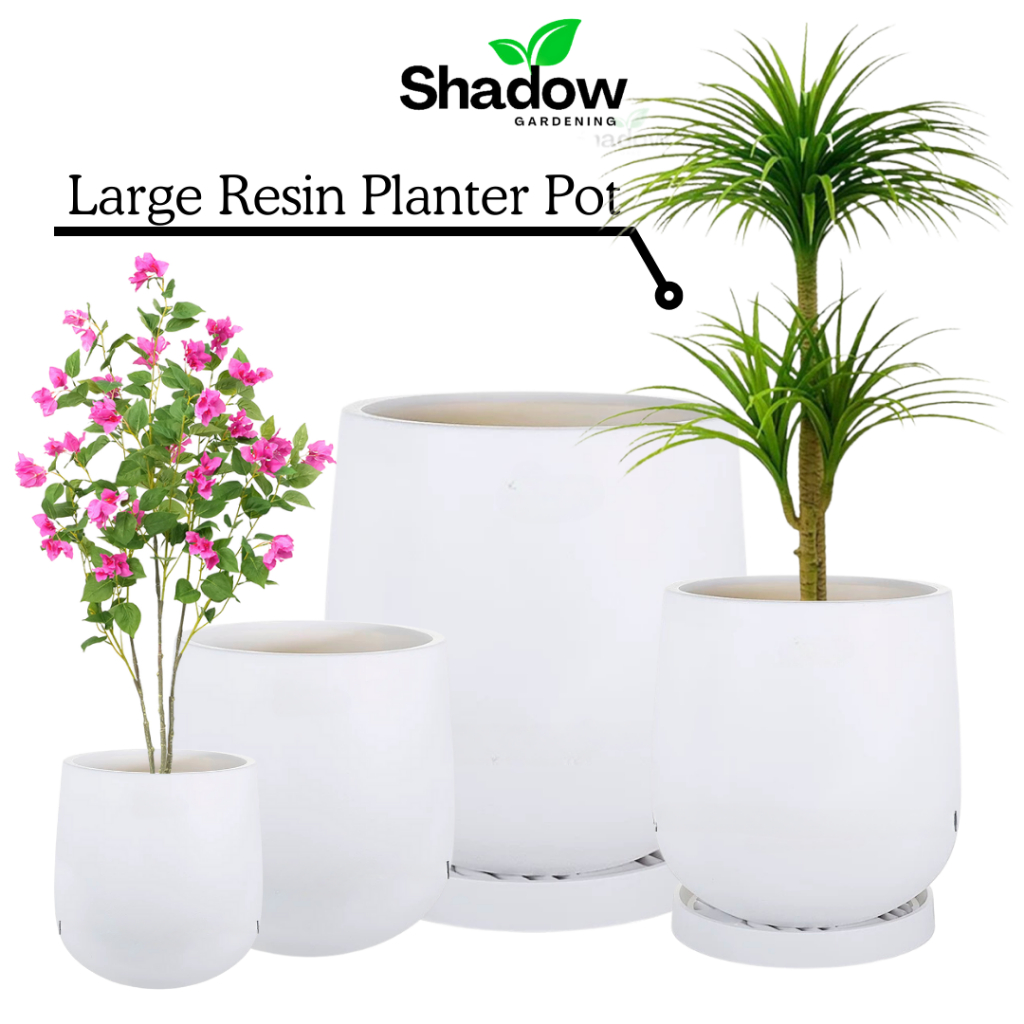SG_SHADOW | Resin White Plant Pot with Drainage Hole & Tray Artificial ...