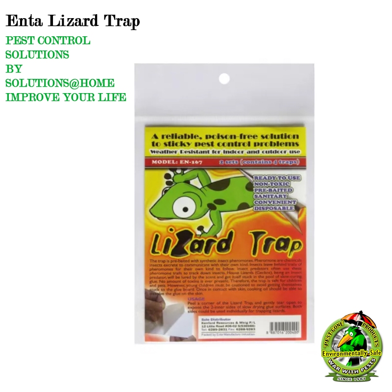 Enta Lizard Trap Lizard Repellent Pest Stop Lizard Killer | Shopee ...