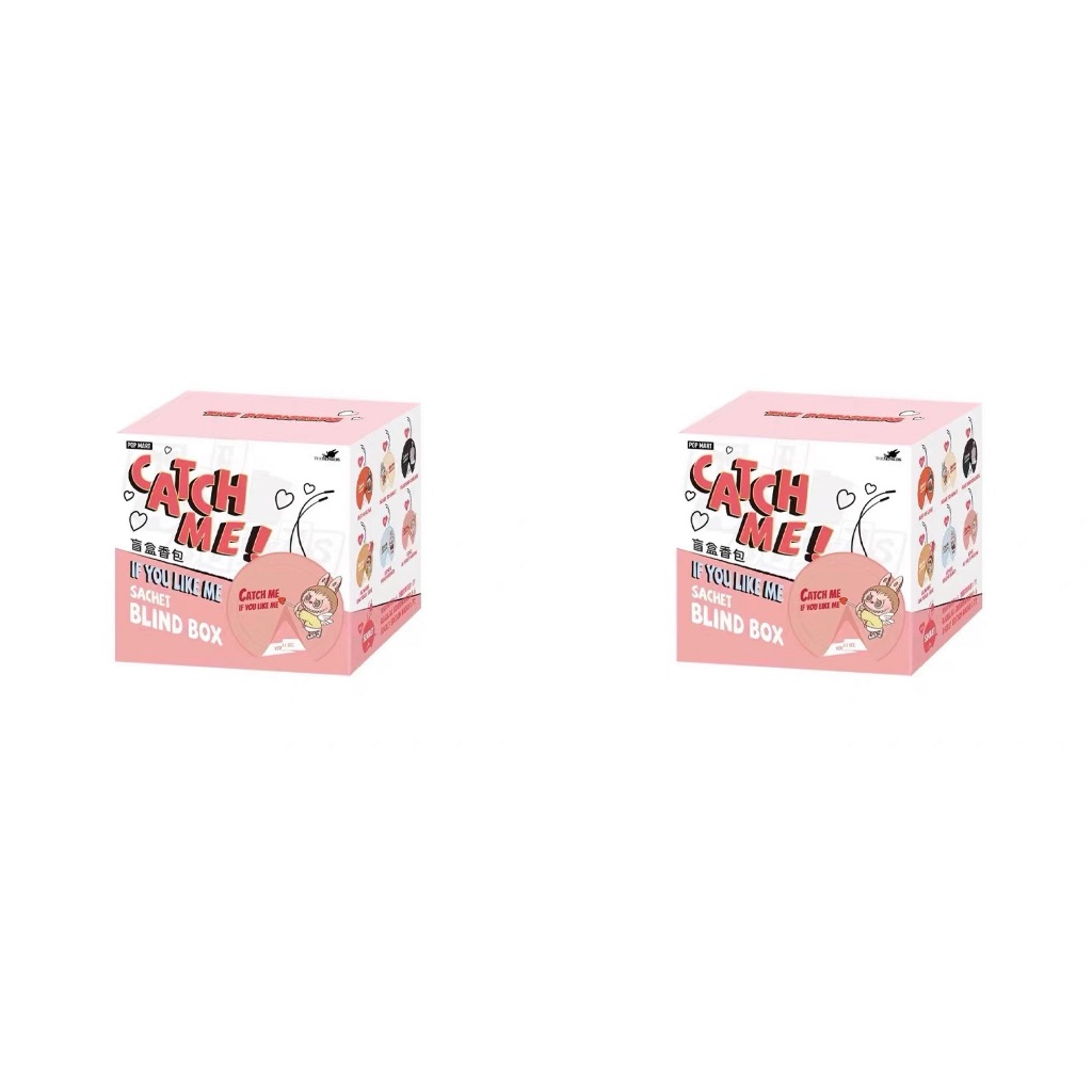 SG IN STOCK POP MART Labubu The Monsters Catch Me If You Like Me