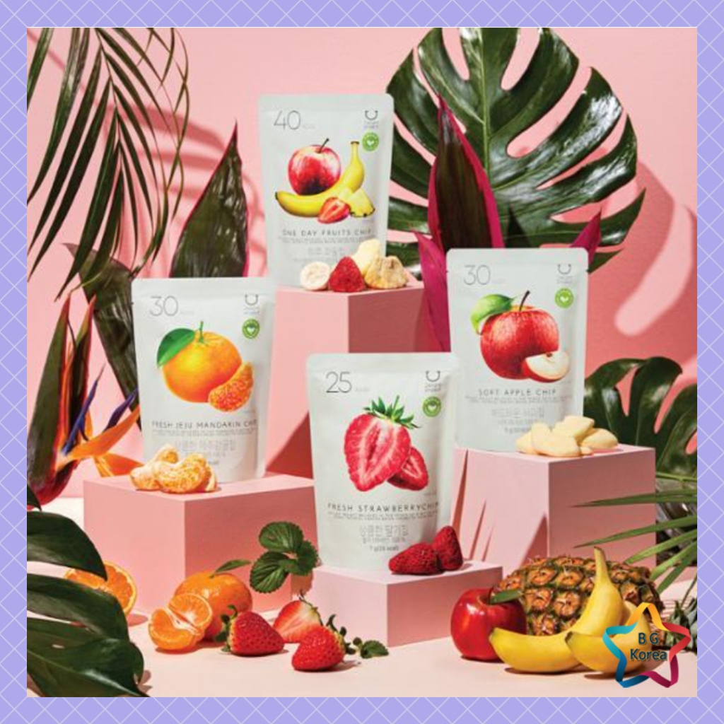 Delight Project 4 types of Fruit Chips / Jeju Mandarin / One Day