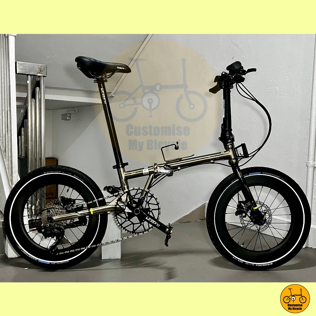 Fnhon Gust 20 Shimano 11s 105 Hubsmith Foldie Bike Bicycle 406 Hito Shopee Singapore