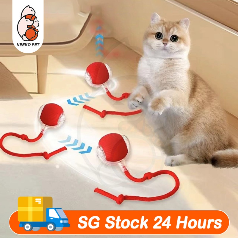 Cat Toy Dog Toys That Move On Their Own Small Dog Toys Crawling - Main Image