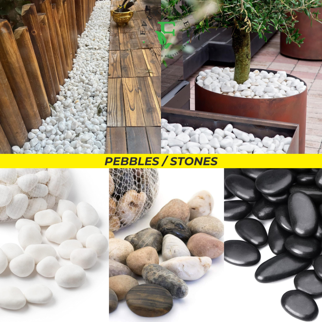 Buy pebbles Products At Sale Prices Online - June 2026 | Shopee Singapore