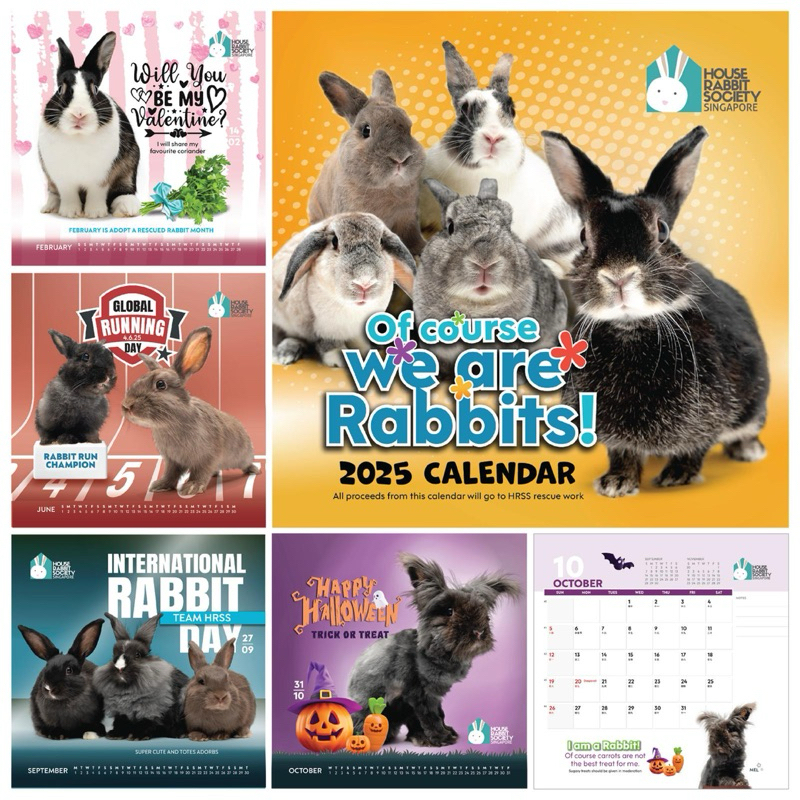HRSS House Rabbit Society Singapore Calendar 2025 | Shopee Singapore