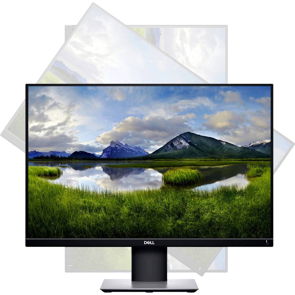 Dell monitor 24 inch FHD 1920x1080 LED monitor P2421 Frameless Border ...