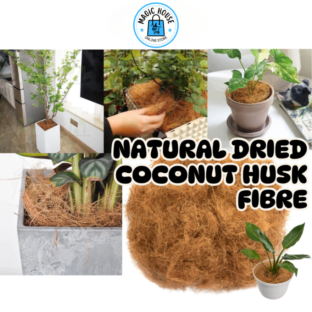 【SG MagicHouse】Natural Dried Coconut Husk Fibre Organic Coconut Fibre ...