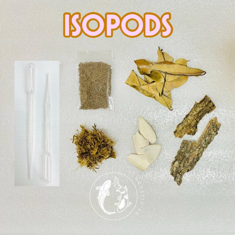 THE MASONRY Isopod Terrarium Starter Kit | Complete Roly Poly Habitat With Acrylic Enclosure