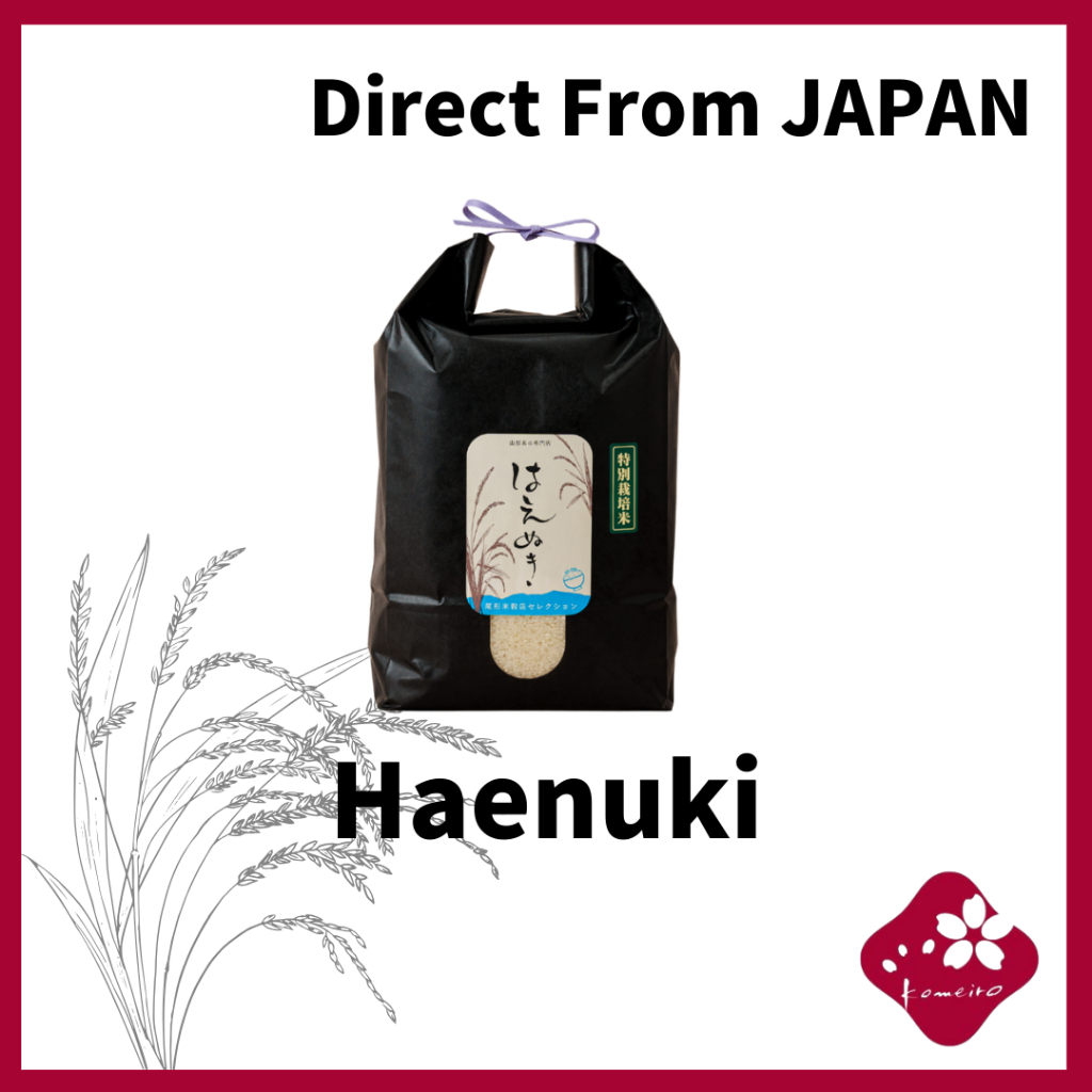 【Direct From Japan】Haenuki specially grown by Yasuhiro Kakizaki Best ...
